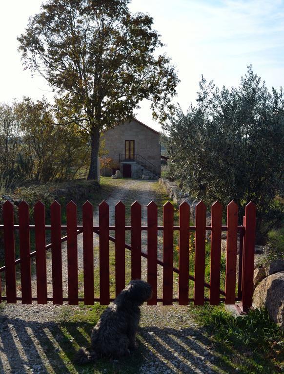Retiro Da Lameira Seia Exterior photo